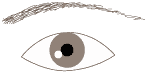 eye type1