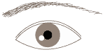 eye type2